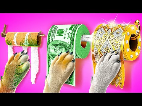 Construction d'une pièce secrète pour animaux 🐾 Pièce Pauvre vs Riche vs Millionnaire Par 123GO!