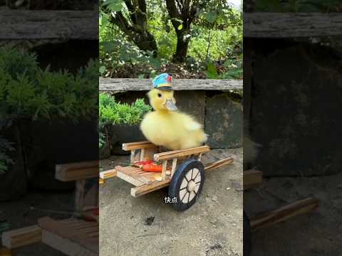 Duck 😍 ~ mini woodtoy-woodworking art skill/ handcrafts/