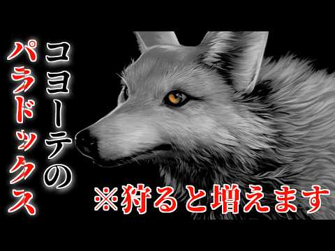 【雑学】人間に狩られたコヨーテ、何故か爆増する