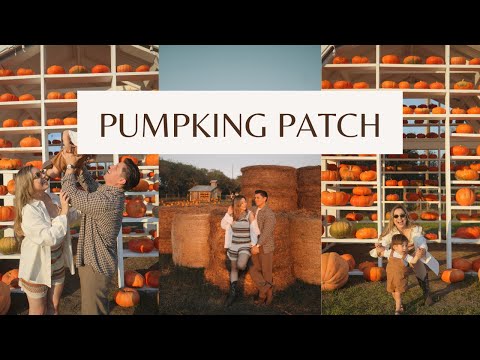 ACOMPAÑANOS A NUESTRO PRIMER PUMPKIN PATCH