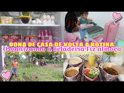 ORGANIZEI A GELADEIRA|| DESFAZENDO AS MALAS e FIZ ALMOÇO DELICIOSO|| COMIDA CASEIRA 🤤💕🍲