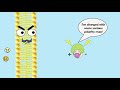 Facilitated Diffusion and Membrane Proteins