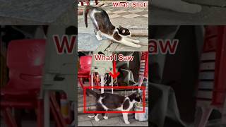 30 Moments of Joy! 📸What I Saw vs. What I Shot #photographytips #phototutorial  #mobilephotography