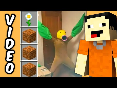 Les Plus Folle de Mes Dernières Vidéos ! Episode 3 #Minecraft