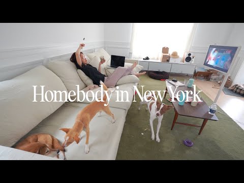Homebody in New York | An introvert's chaotic week cooking, binge watching kdrama, and cleaning!
