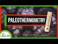 Dinosaur Thermoregulation and Clumped Isotopes