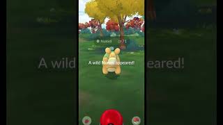 Shiny checking whenever wherever👊🏼🕶️ #pokemongo #pokemontrainer #sideralwins #gobattleleague