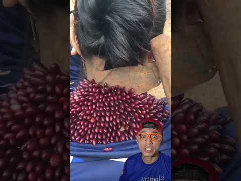 carrapato 🗿#shorts #sigma #trending #funny #popular #tiktok