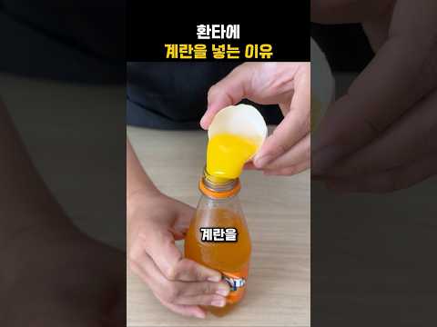 환타에 계란을 넣는 이유