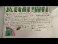 Earth's Atmospheric Layers and Properties