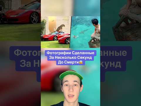 Фотографии Сделанные За Несколько Секунд До Смерти!😱 #shorts #фото #животные