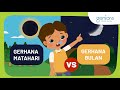 Solar Eclipses and Lunar Eclipses