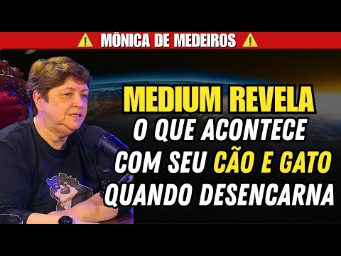 PARA ONDE VÃO OS CÃES E GATOS DEPOIS QUE DESENCARNAM | DRª MÔNICA DE MEDEIROS