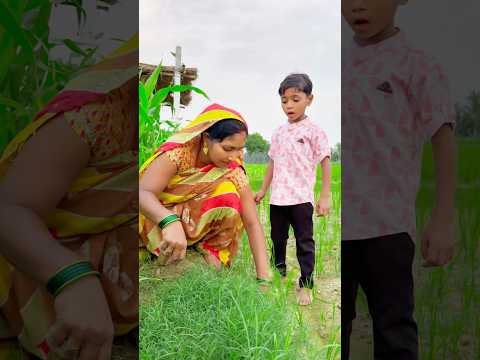 मम्मी घर चलो भैस भाग गई 🔥🔥 #shorts #viral #youtubeshorts #funny #trending #shortvideo #viralvideo