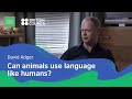 Animal vs Human Language Abilities