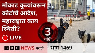 LIVE : Stray Dogs Supreme Court Order नंतर राजधानीसह इतरही राज्यात काय परिस्थिती?