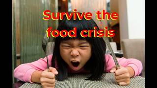 Survive the crazy food