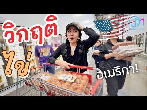 ไข่อเมริกาแพงหนัก!ขาดตลาดจริงไหมไปดูให้เห็นกับตา!มอสลา