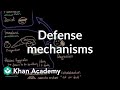 Understanding Defense Mechanisms in Psychology