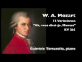 Identifying Elements in a Video
