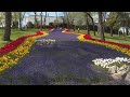Video İzleme ve Abone Olma