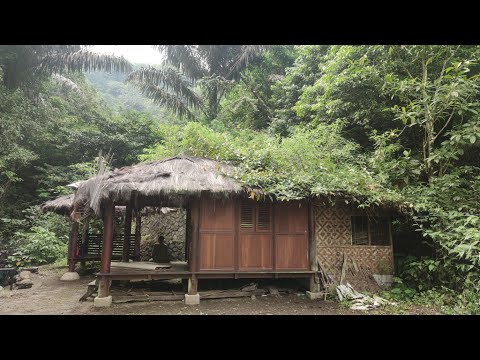 Kaget ‼️ Dikira Rumah Biasa Gak Nyangka Ada Rumah Unik dan Aneh Di Dalam Hutan Belantara