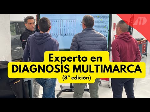 Experto en Diagnosis Multimarca (8ª edición)
