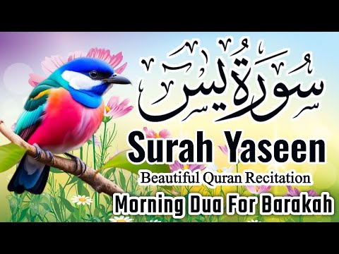 Surah Yasin (Yaseen) || سورہ یس 36 || Surah Yasin Full 7th Time || Morning Wazifa || Episode-025