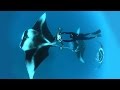 Exploring the Hidden Ecosystems of the Ocean