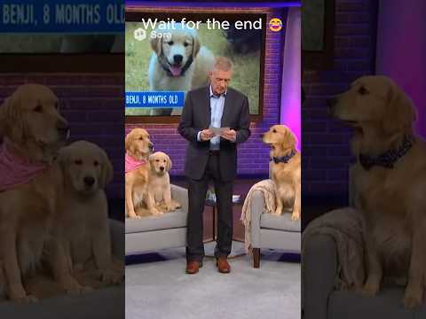 Dog finds out he's NOT the father! ๐