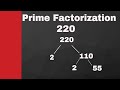 Prime Factorization Concepts and Problems