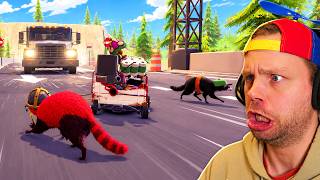this raccoon game is dangerous