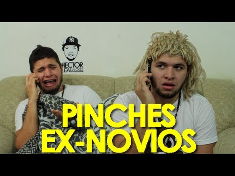 PINCHES EX-NOVIOS