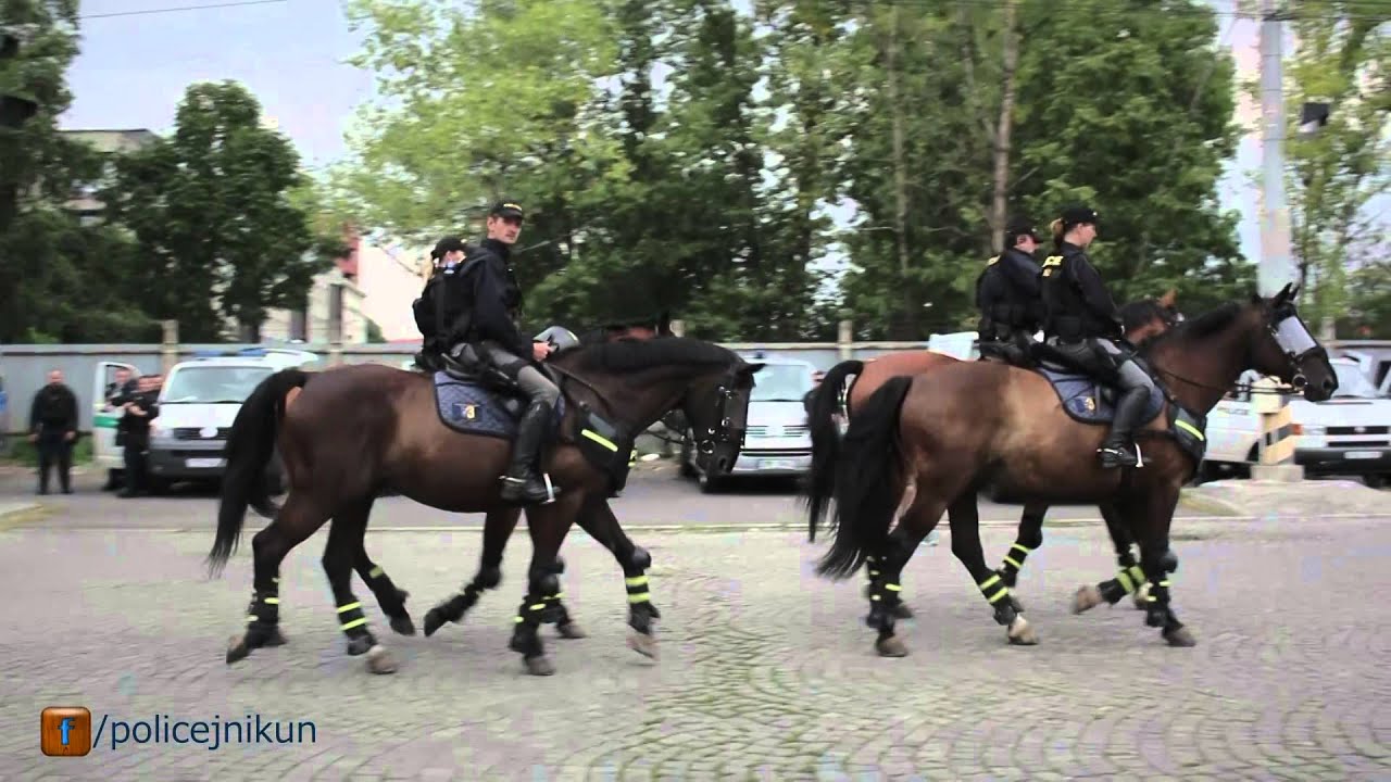 Dokument Policejní kůň