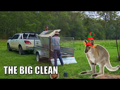 Christmas Farm Wrap Up