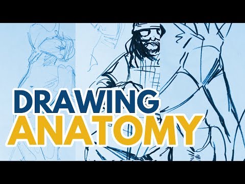 How To Practice Anime Anatomy - XpCourse