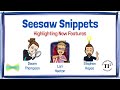 Seesaw Features and Functionality