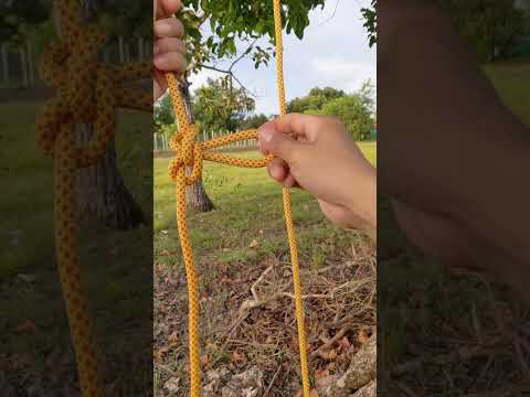 Ideas of using alpine butterfly loop knot/ running loop.