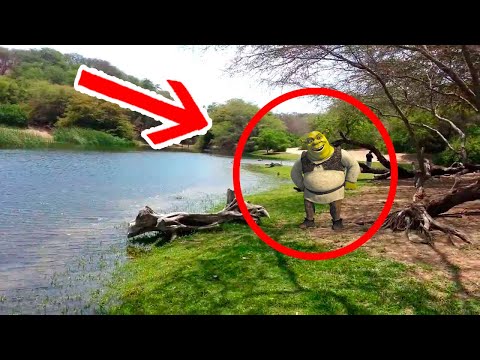 5 SHREK Reales Captados en CÁMARA Y Vistos en la Vida REAL