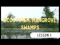 Mangrove Swamp Ecosystem Concepts
