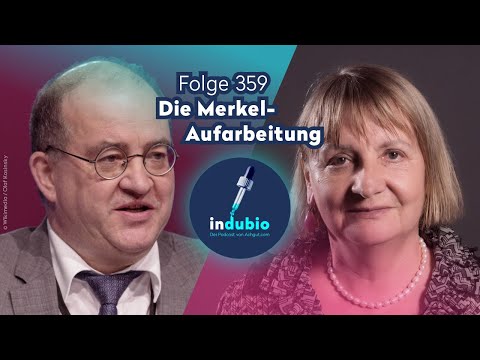 Flg. 359 - Die Merkel-Aufarbeitung