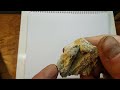 Fossils and Sedimentary Rocks