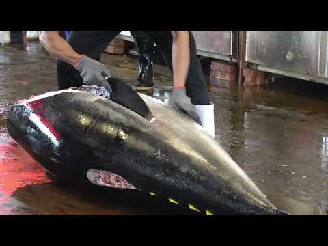 Taiwan’s Massive Fish Market & Next-Level Tuna Cutting! 🐟💰🚀 #TunaMadness #seafoodlovers