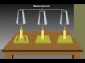 Combustion and Oxygen