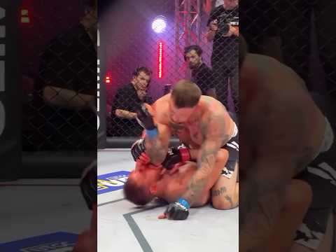 Thoughts on 12 to 6 elbows in MMA? @hfcmma
