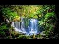 Ecology Concepts and Principles