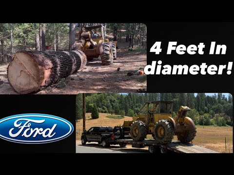 ABANDONED CAT SKIDDER comes out of retirement for some Large timber!