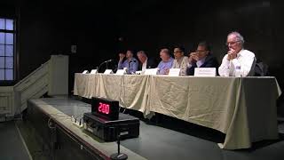 June 27, 2025 RGB Lower Manhattan Public Hearing