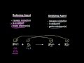 Oxidation States and Reducing Agents