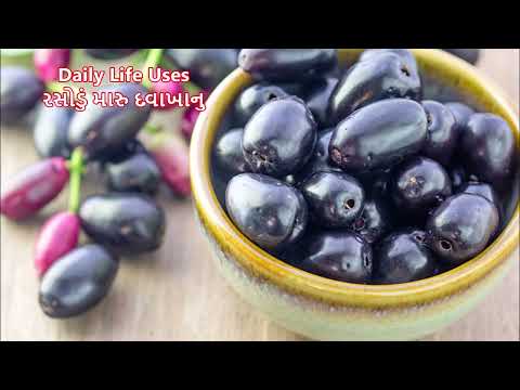 જાંબુના ફાયદા   રાવણાના  ફાયદા   Benefits of Black Plum Jambu na Fayda Jamun ke Fayde Ravna na fayda